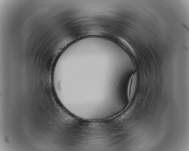 X0000097460938200803141848