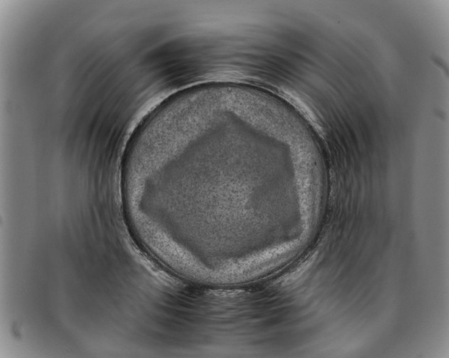 X0000097460939200803141848