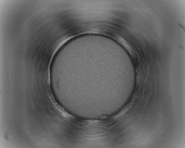 X0000097460940200803141848