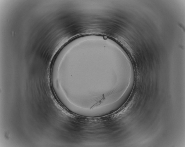 X0000097460941200803141848