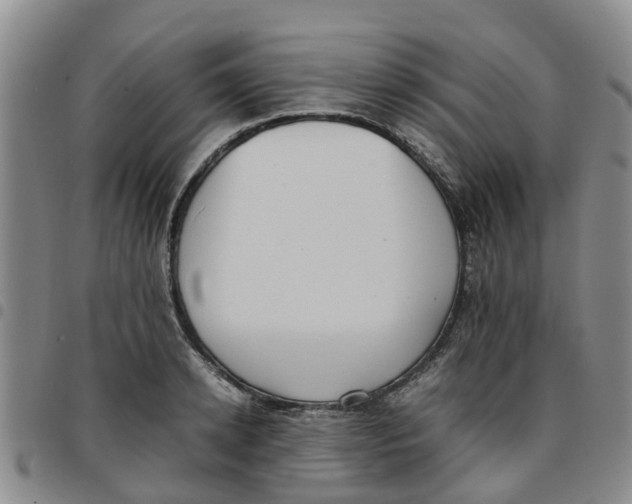 X0000097460942200803141848