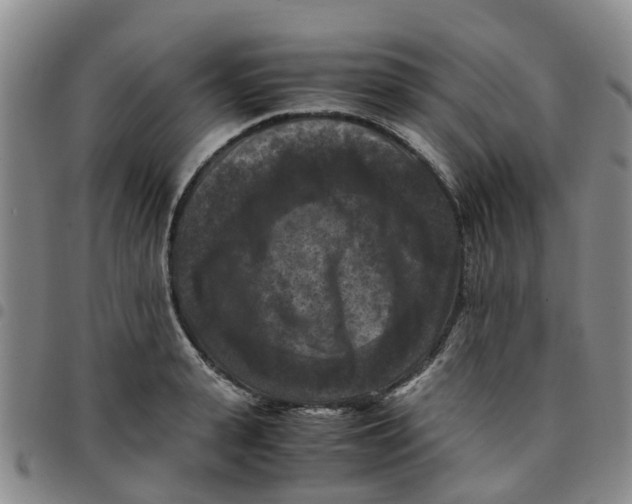 X0000097460943200803141848