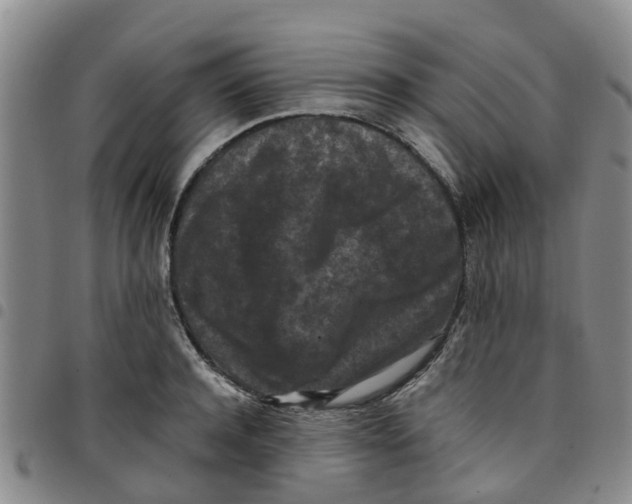 X0000097460944200803141848