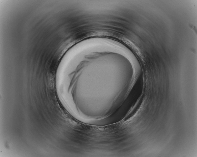 X0000097460945200803141848