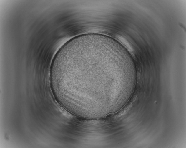 X0000097460948200803141848