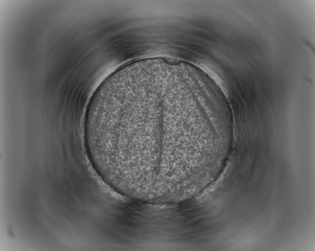 X0000097460949200803141848