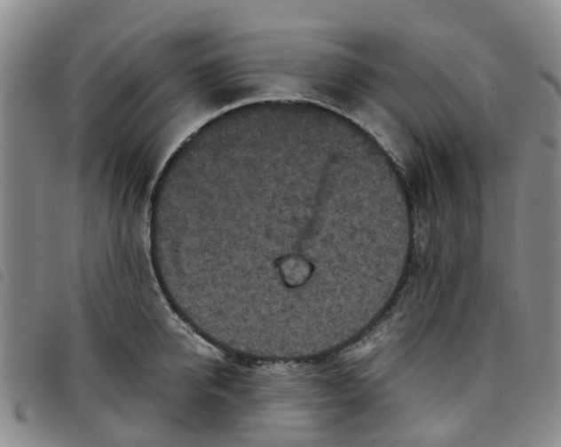 X0000097460950200803141848