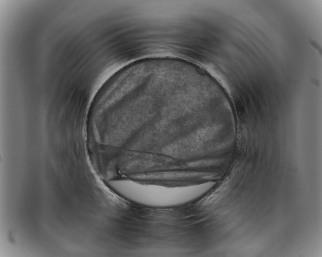 X0000097460951200803141848