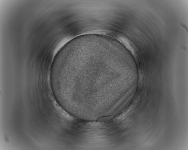 X0000097460952200803141848