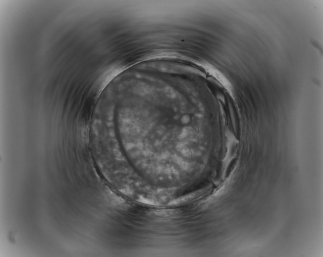 X0000097460953200803141848