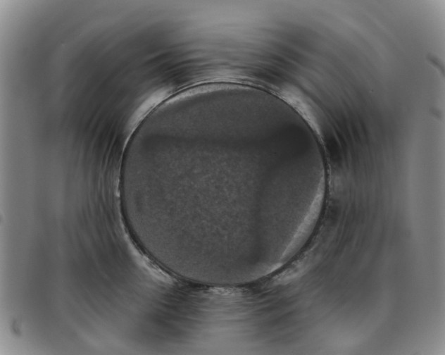 X0000097460954200803141849