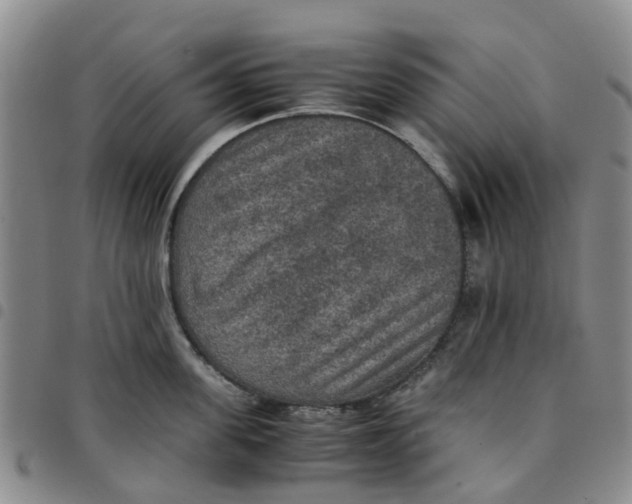 X0000097460955200803141849