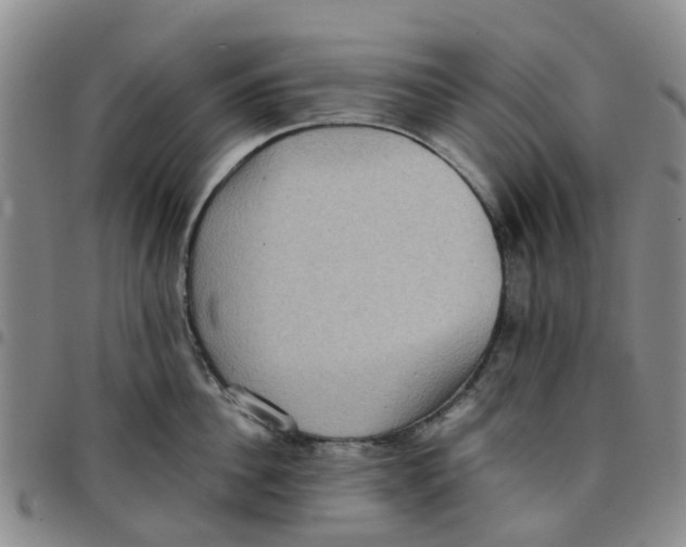 X0000097460956200803141849