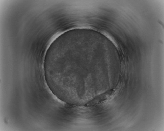 X0000097460959200803141849