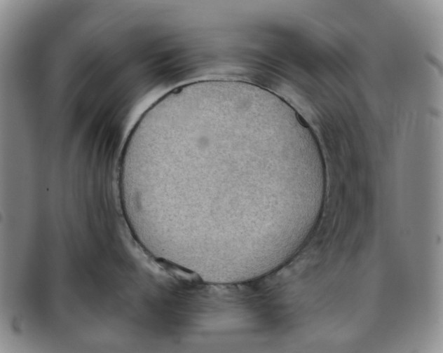 X0000097460960200803141849