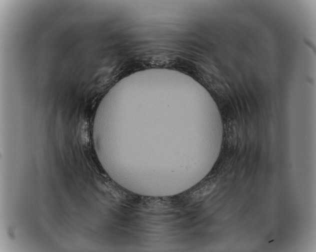 X0000097460962200803141848