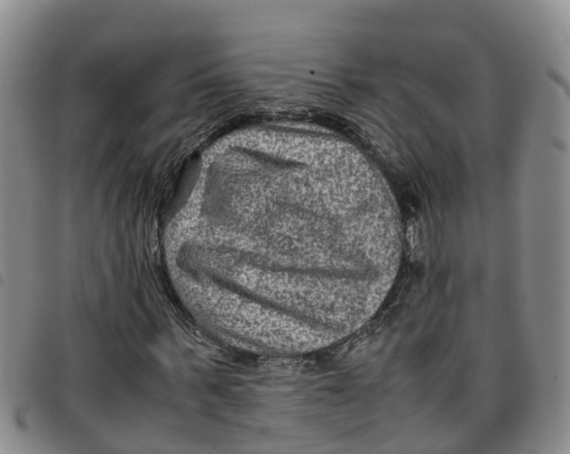 X0000097460963200803141848