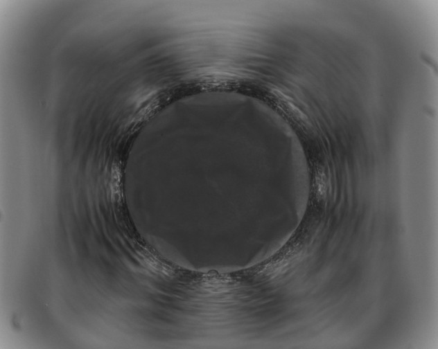 X0000097460964200803141848