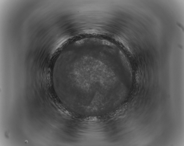 X0000097460968200803141848