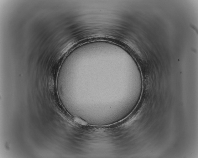 X0000097460969200803141848