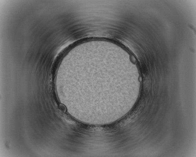 X0000097460971200803141848