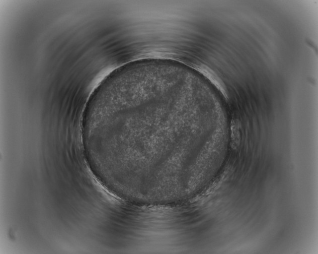 X0000097460972200803141848