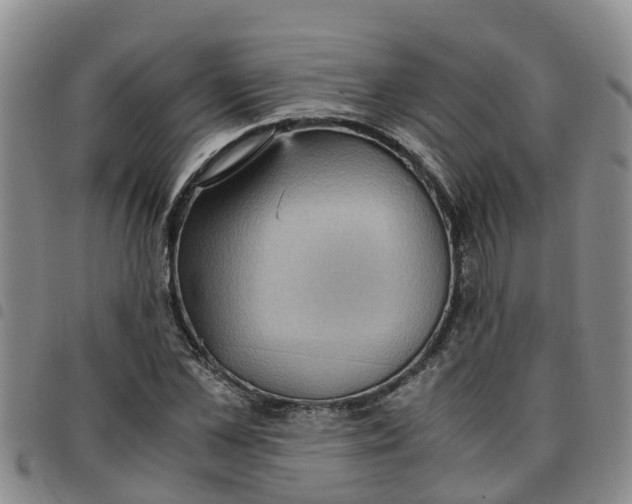 X0000097460973200803141848