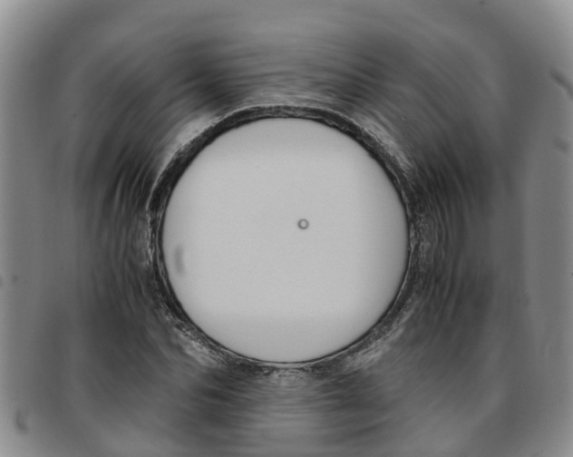 X0000097460974200803141848