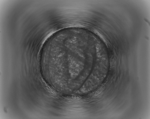 X0000097460975200803141848