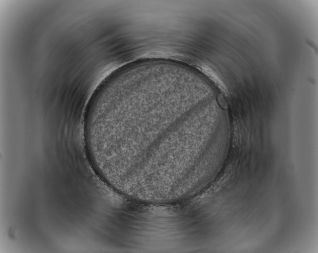 X0000097460976200803141848