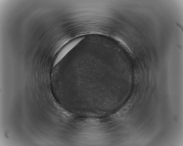 X0000097460977200803141848