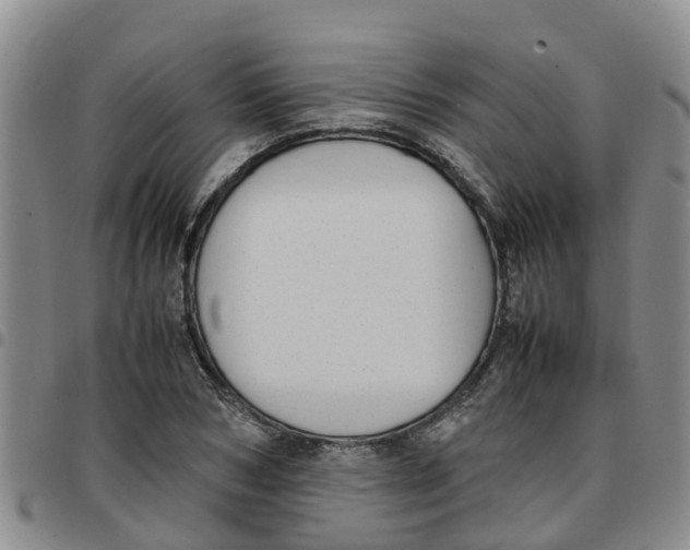 X0000097460978200803141848