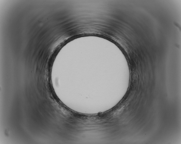 X0000097460979200803141848