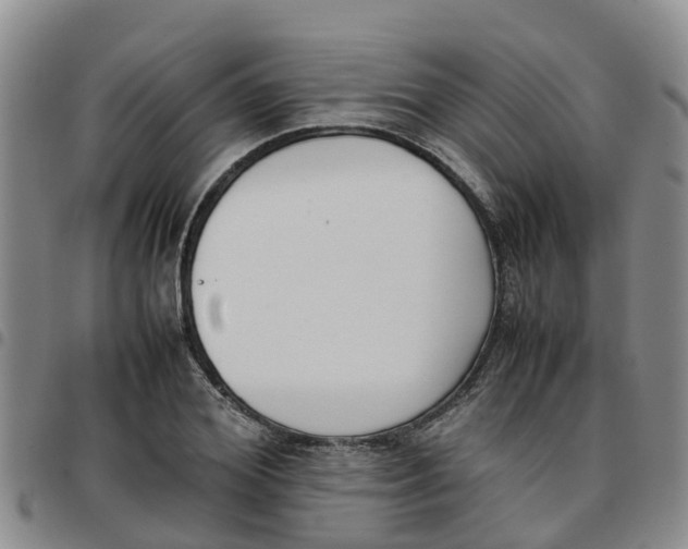 X0000097460980200803141848