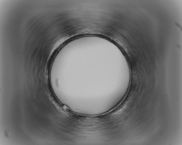 X0000097460981200803141847