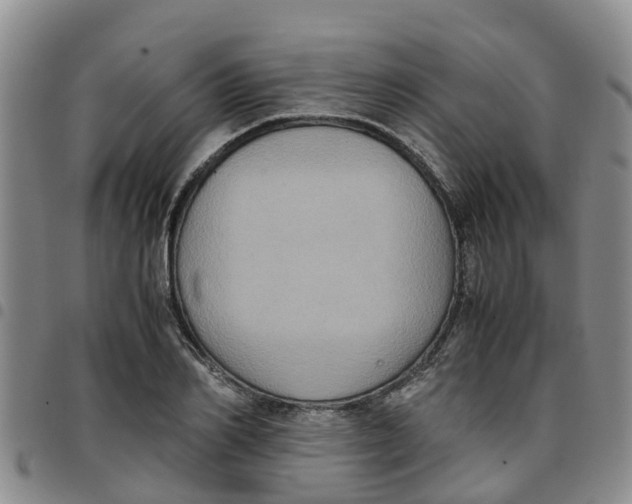 X0000097460982200803141847