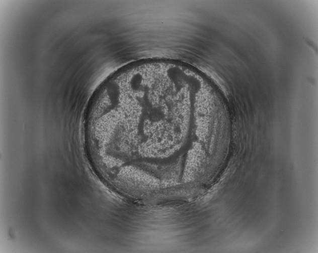 X0000097460983200803141847