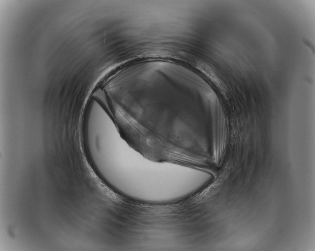 X0000097460984200803141847