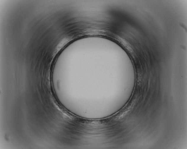 X0000097460986200803141847