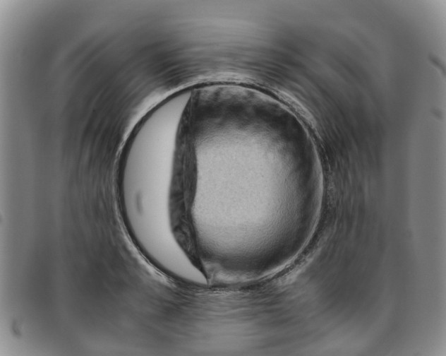 X0000097460989200803141847