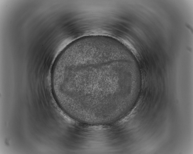 X0000097460990200803141847