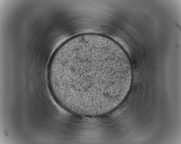 X0000097460991200803141847