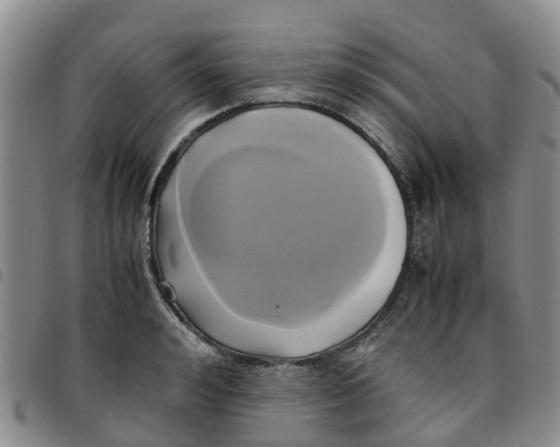 X0000097460992200803141847