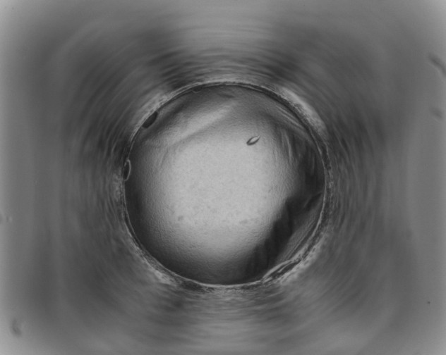 X0000097460993200803141847