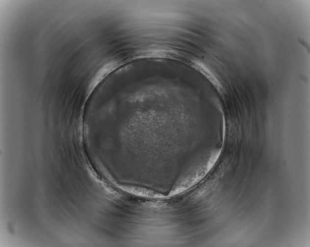 X0000097460994200803141847