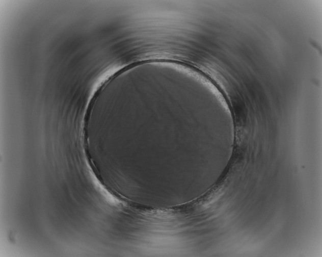 X0000097460995200803141847