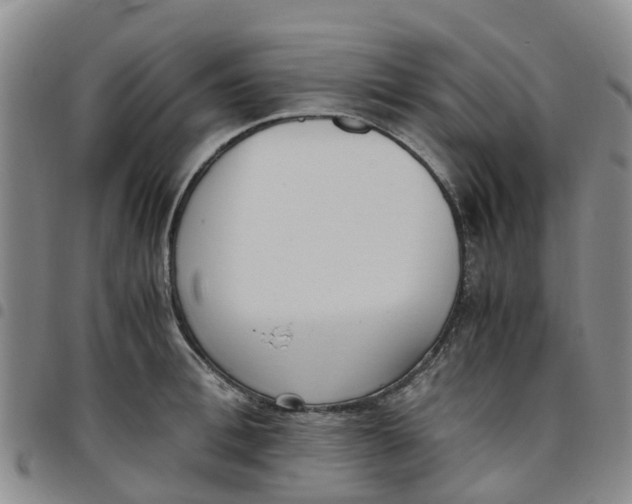 X0000097460996200803141847