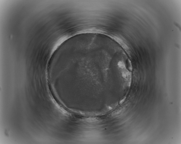 X0000097460998200803141847