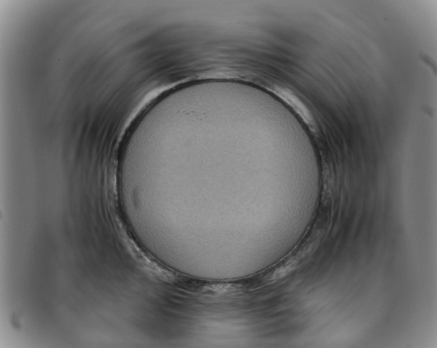 X0000097461000200803141847