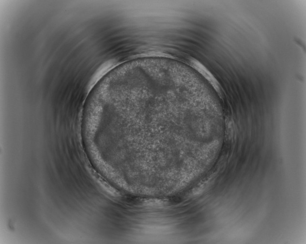 X0000097461002200803141847